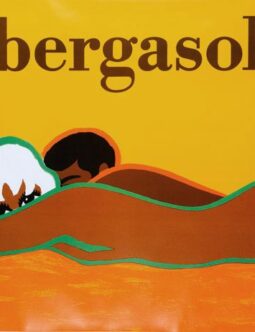 Bergasol by Bernard Villemot original c1974 vintage poster on linen