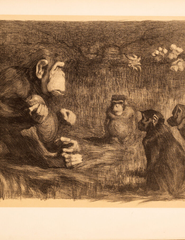 Est-Jugement Est-Jugement