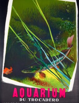 Aquarium du Trocadero by Eric for the Ville de Paris c1950