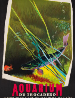 Aquarium du Trocadero – Raoul Eric Castel – Circa 1950 Paris Museum poster Medium Size