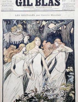 Gil Blas Theofile Steinlen c1890's Les digitales